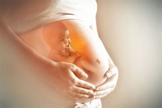 Anklage bei Verstoss gegen das Embryonenschutzgesetz